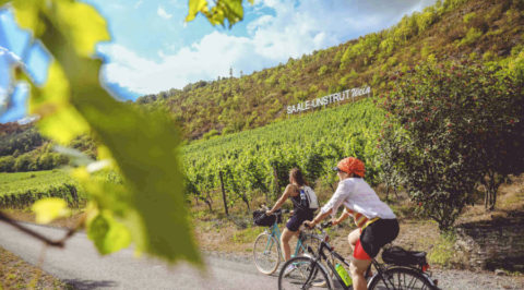 Wandelen of fietsen door Saale-Unstrut, de oudste wijnregio van Duitsland